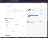 Chelsea McShane Art coupon verification screenshot