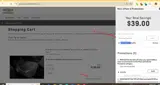 SAVE10ACCY coupon verification screenshot