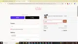 Chic by Ally B coupon verification screenshot