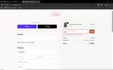 Chic by Ally B coupon verification screenshot