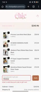 Chic by Ally B coupon verification screenshot