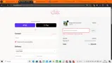 Chic by Ally B coupon verification screenshot
