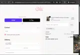Chic by Ally B coupon verification screenshot