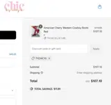 Chic by Ally B coupon verification screenshot