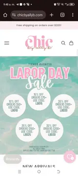 Chic by Ally B coupon verification screenshot