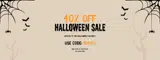 Chic by Ally B coupon verification screenshot