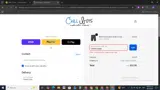 ChillBoysClub coupon verification screenshot