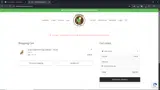CHILLYSUMMER coupon verification screenshot