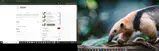 NOWYOUSEEIT coupon verification screenshot