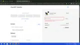 Churchill Swimfins coupon verification screenshot