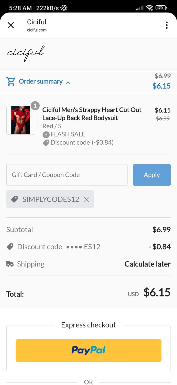 Ciciful coupon code screenshot showing code SIMPLYCODES12 applied at Ciciful checkout page. Uploaded by SimplyCodes community member Hei201 on Jun 20, 2025