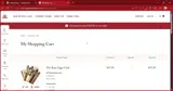 SAVE10 coupon verification screenshot
