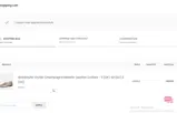 Cinderella Shoes coupon verification screenshot
