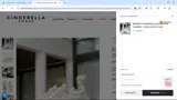 Cinderella Shoes coupon verification screenshot