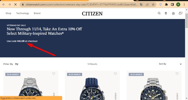 Citizen Watch checkout page showing Citizen Watch promo code box | Screenshot taken by SimplyCodes community member on Oct 31, 2022