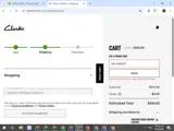 Clark's coupon verification screenshot