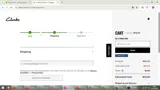 Clark's coupon verification screenshot
