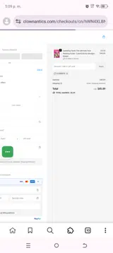 CLOWN10 coupon verification screenshot