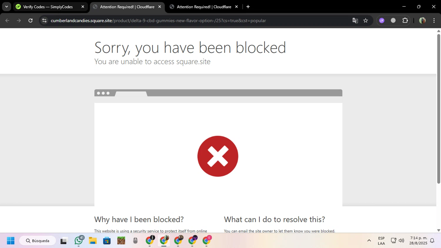 CM Boutique promo code screenshot showing code Maddy applied at CM Boutique checkout page. Uploaded by SimplyCodes community member MoneySentinel7597 on Aug 28, 2025
