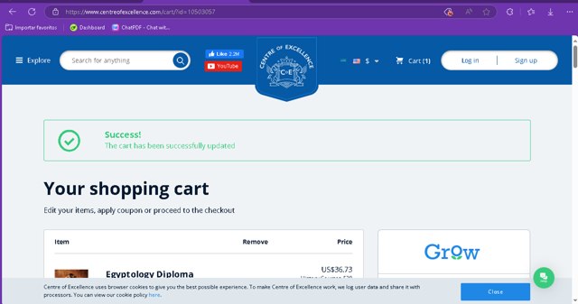 Centre of Excellence checkout page showing Centre of Excellence discount code box | Screenshot taken by SimplyCodes community member on Dec 4, 2024