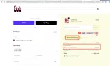 NEWYEARNEWSNACK coupon verification screenshot