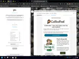 FLASH35 coupon verification screenshot