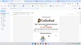 saturday coupon verification screenshot