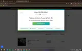 hystericalbid coupon verification screenshot