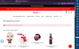 HOLIDAY20 coupon verification screenshot