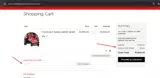 GIFT10 coupon verification screenshot