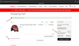 GIFT20 coupon verification screenshot
