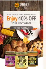 THANKFUL40 coupon verification screenshot