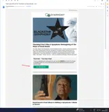 BOWIE30 coupon verification screenshot