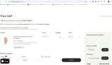 SPRING40 coupon verification screenshot
