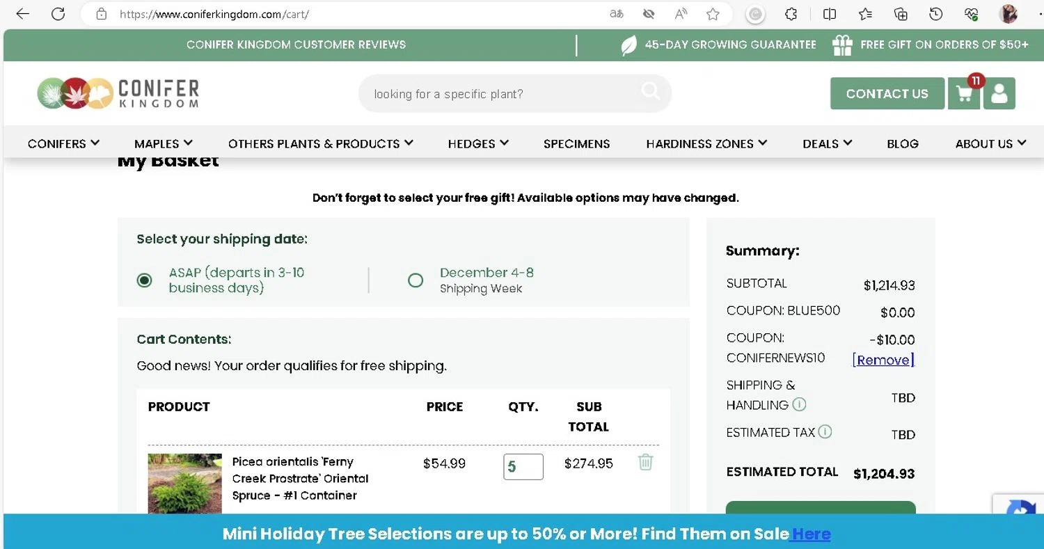 Conifer Kingdom Coupons 10 Off October 2024