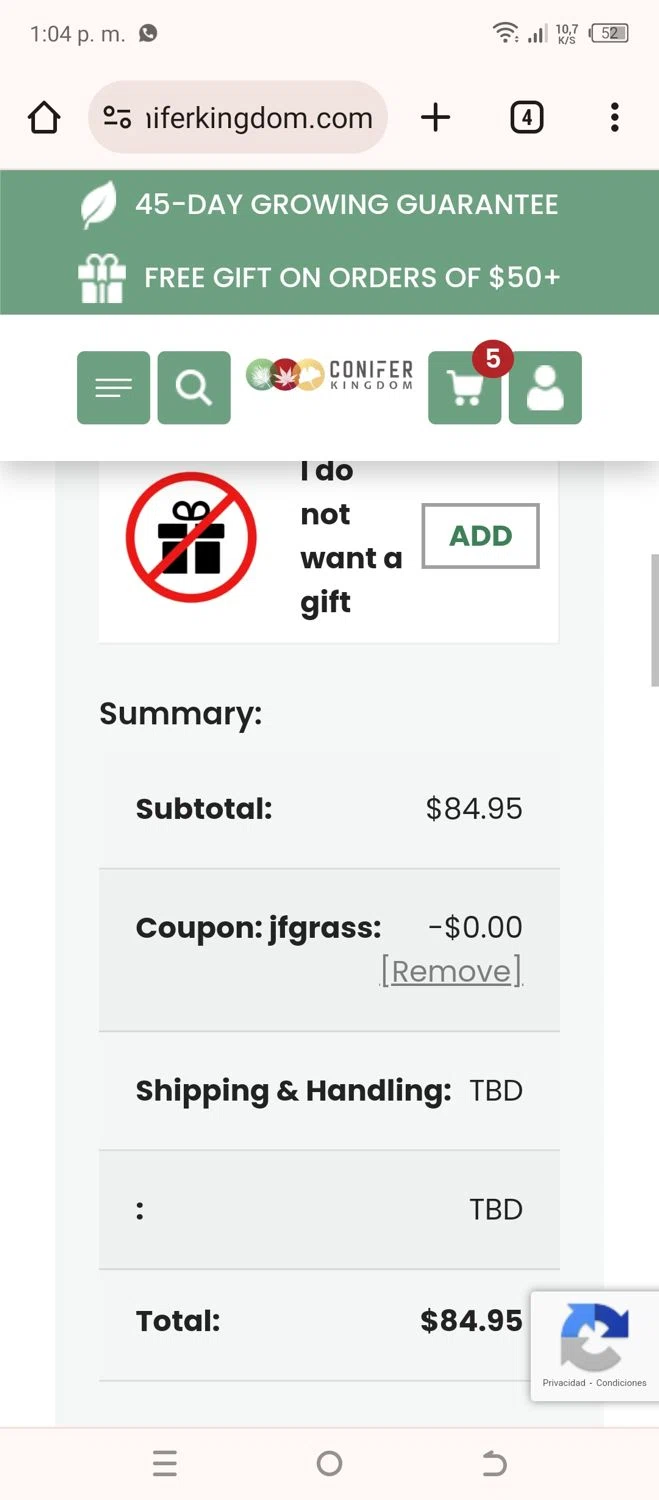 Conifer Kingdom Coupons 10 Off October 2024