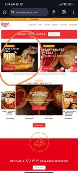 PIZMON10 coupon verification screenshot