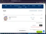 Constructive Playthings coupon verification screenshot