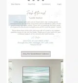 newart2025 coupon verification screenshot