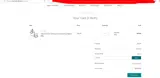 SAVE30 coupon verification screenshot
