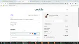 BESTFIT20 coupon verification screenshot