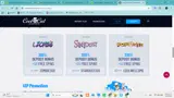 ZOMBIE300 coupon verification screenshot