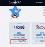 ZOMBIE300 coupon verification screenshot