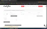 stealzonelow coupon verification screenshot