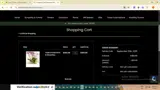 WEB10 coupon verification screenshot