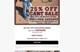DAYSAVE coupon verification screenshot