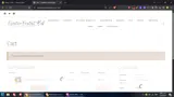 CH10 coupon verification screenshot