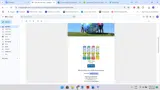 Creekside Farm coupon verification screenshot