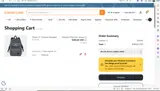 SAVE100NOW coupon verification screenshot