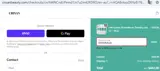 Crisan Hair coupon verification screenshot
